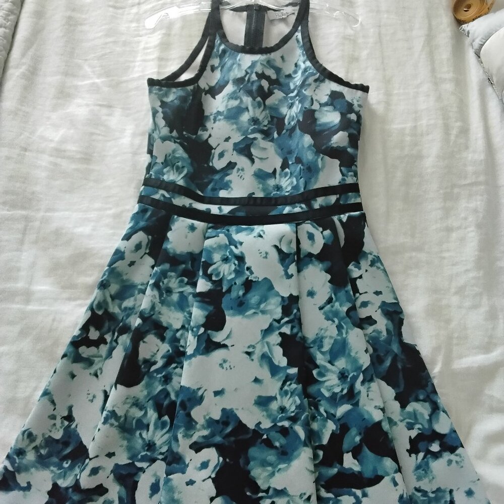 Parker Fit Flare Blue Floral Dress XS